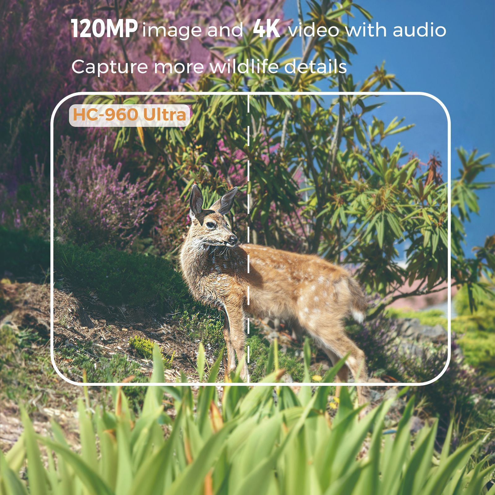 กล้องอินฟราเรดสำหรับสัตว์ป่า ค - Hunting Outdoor Camera บทวิจารณ์และราคา